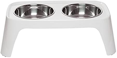 Totally Pooched Elevated Dish with Stainless Bowls