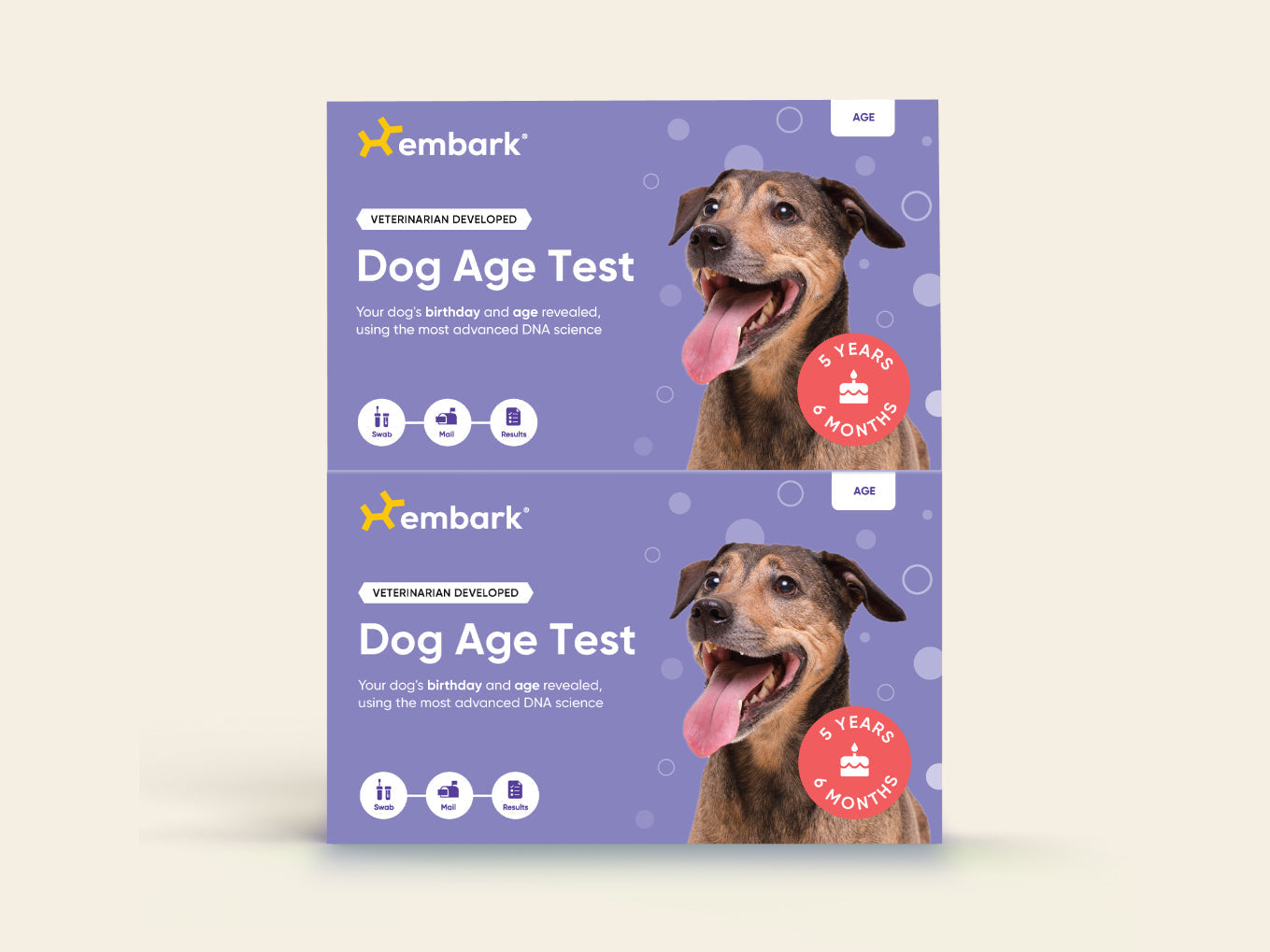 Dog Age Test