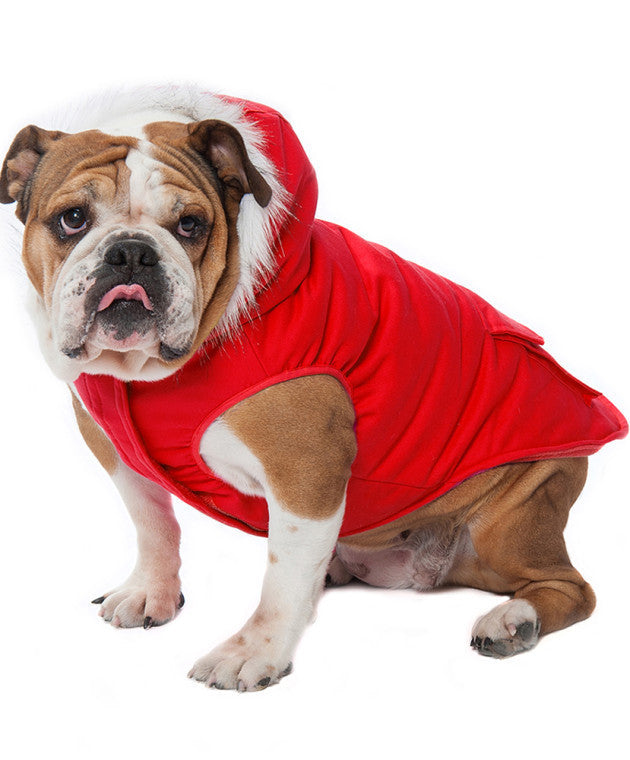 Canada Pooch - Winter Wilderness Jacket