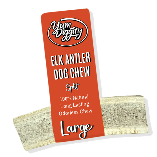 Yum Diggity Naturally Shed Antler Chew