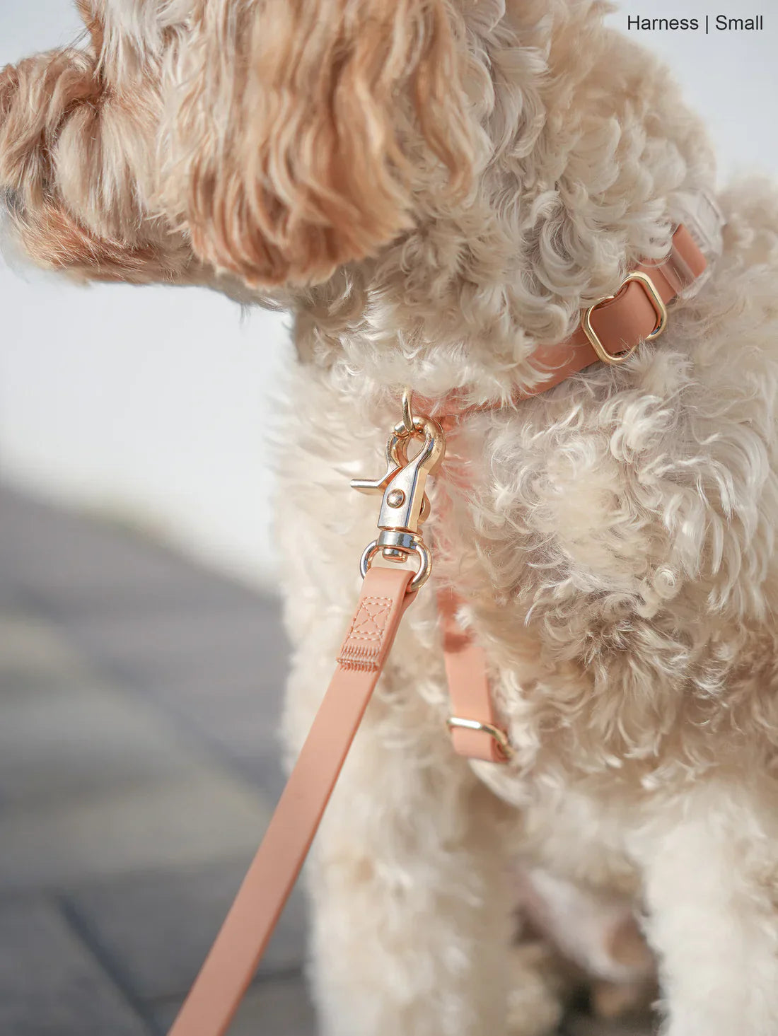 Sunny Tails Waterproof Harness - Chai