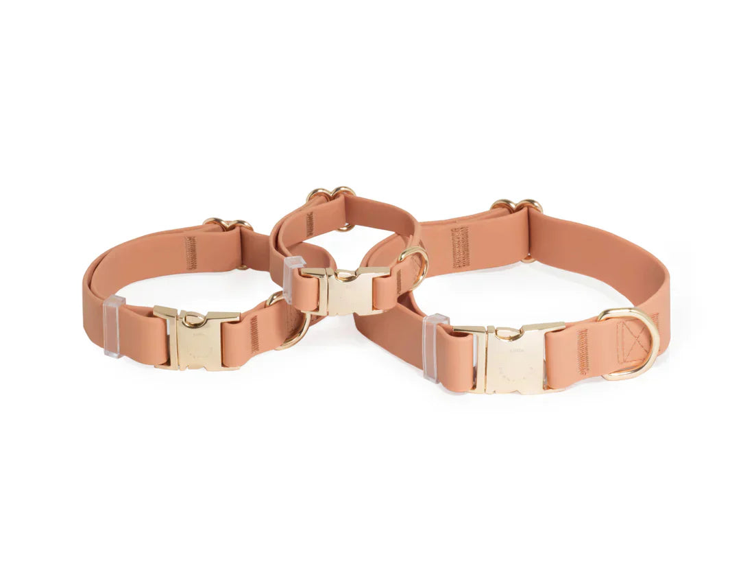 Sunny Tails Waterproof Collar - Chai