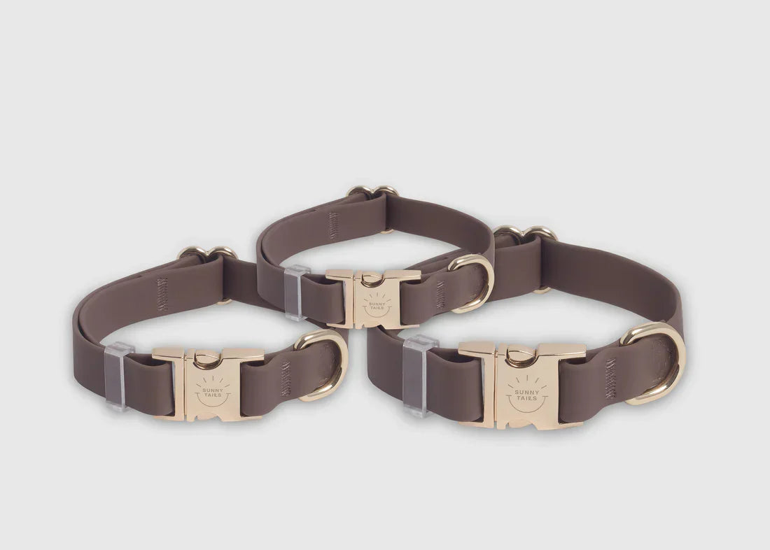Sunny Tails Waterproof Collar - Espresso