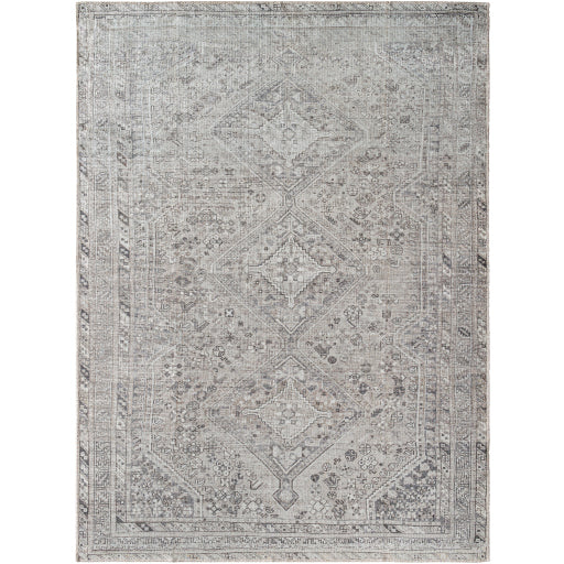 Embrace EMA-2311 Rug- Sage, Black, Ivory