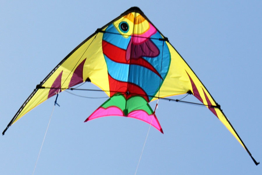 Stunt Kite - Sunfish