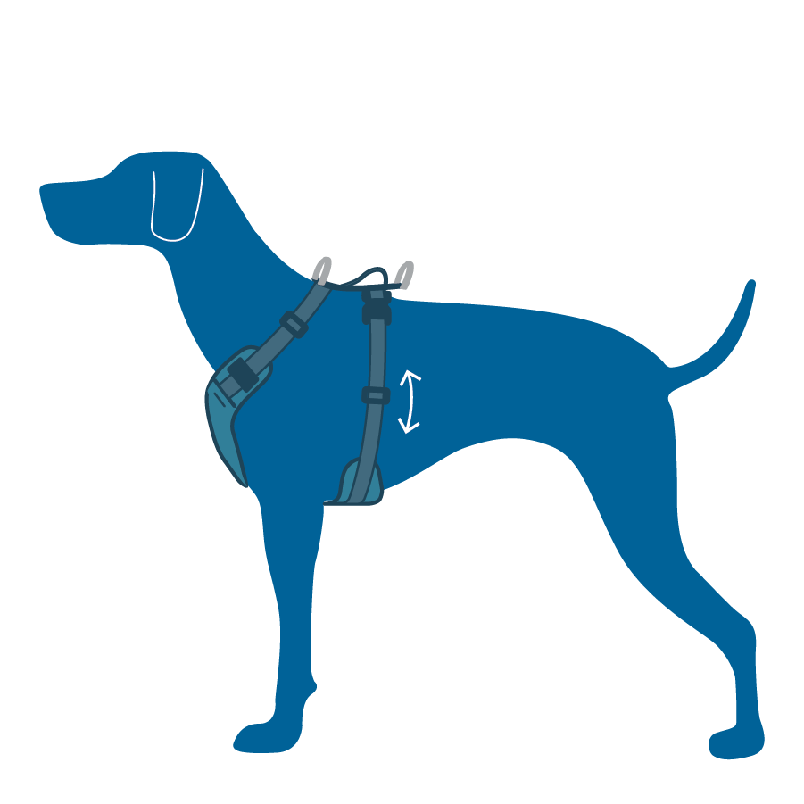 RC Pets Moto Control Car Harness for Dogs in Black and Grey