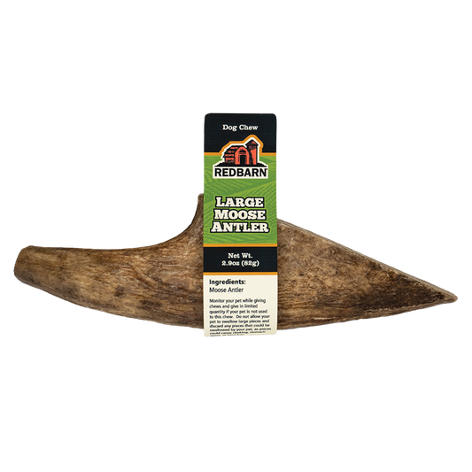 Redbarn Palm Moose Antler