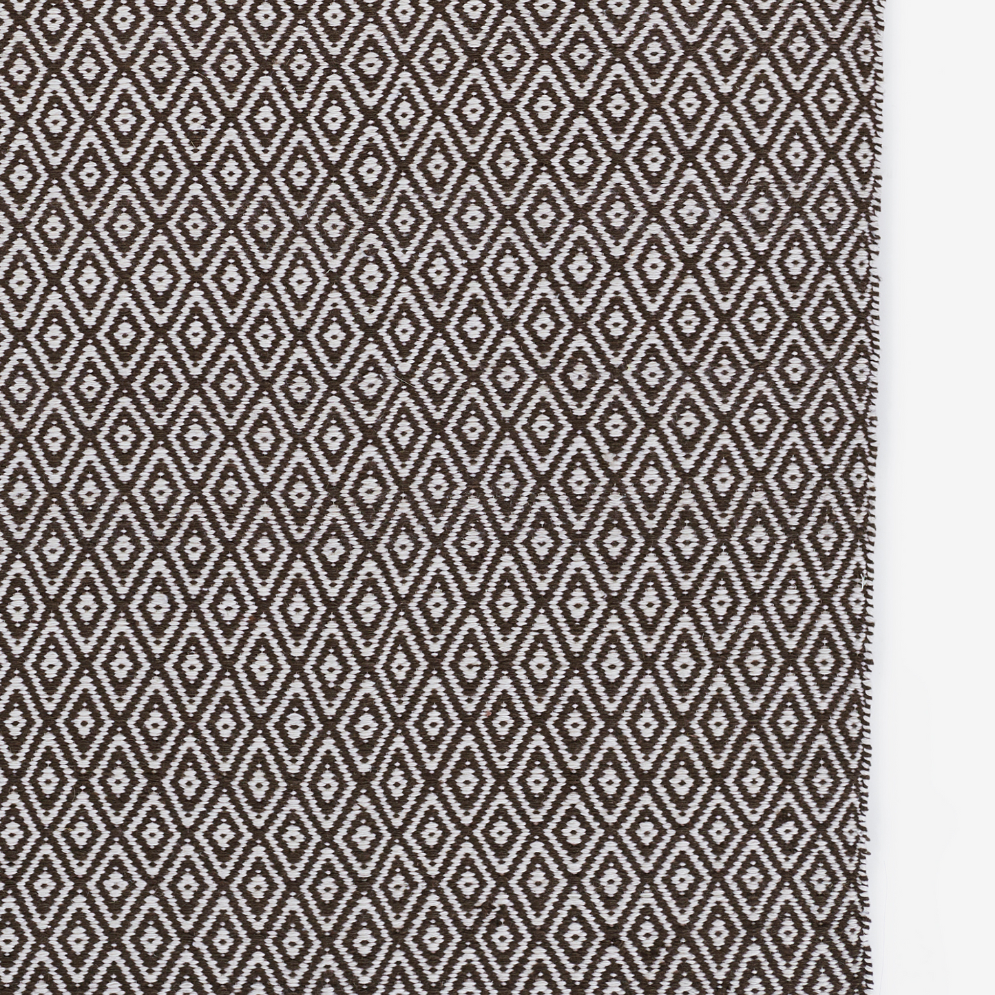 River Davis Brown Hand Woven PET Indoor Outdoor Rug