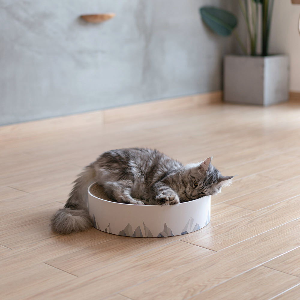 PIDAN Cat Scratcher – Valley