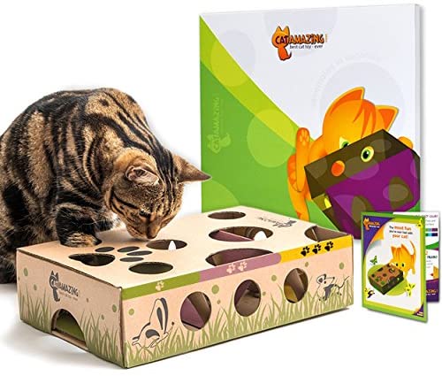 Cat Amazing Classic Interactive Cat Toy and Puzzle Feeder