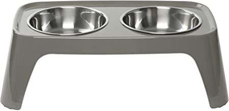 Totally Pooched Elevated Dish with Stainless Bowls