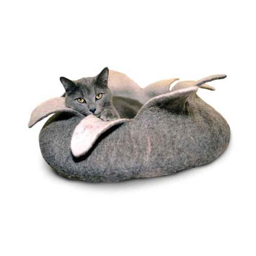 Dharma Dog Karma Cat - Basket  Petals