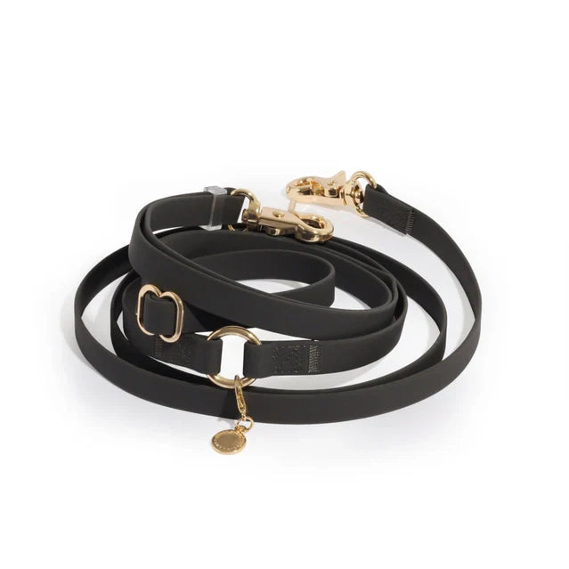 Sunny Tails 4-in-1 Hands Free Leash - Black