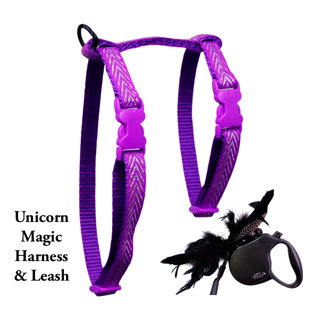 Surfer Cat Leash and Harness Combo