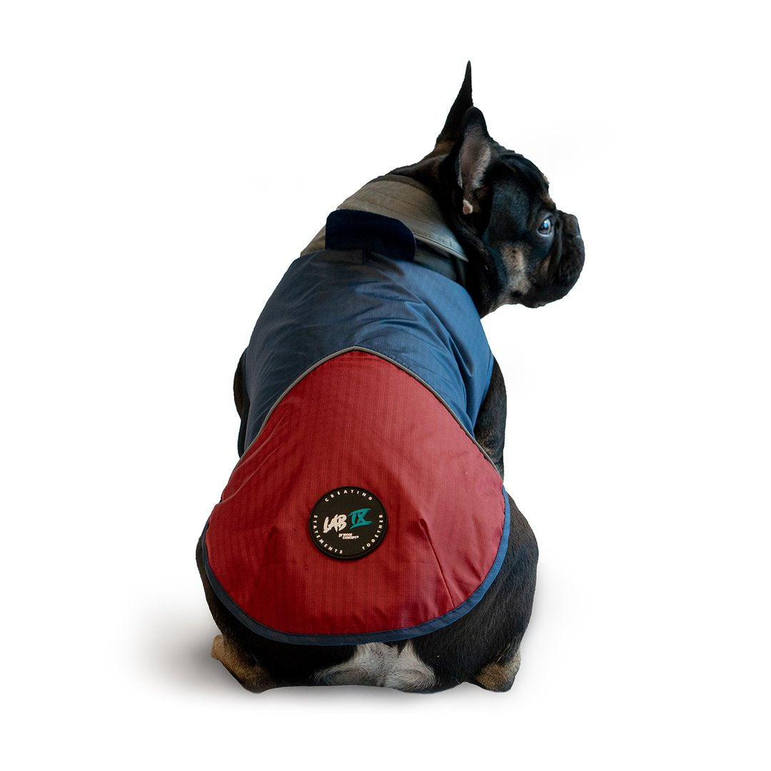 Woof Concept Arrow Windbreaker Navy/Red