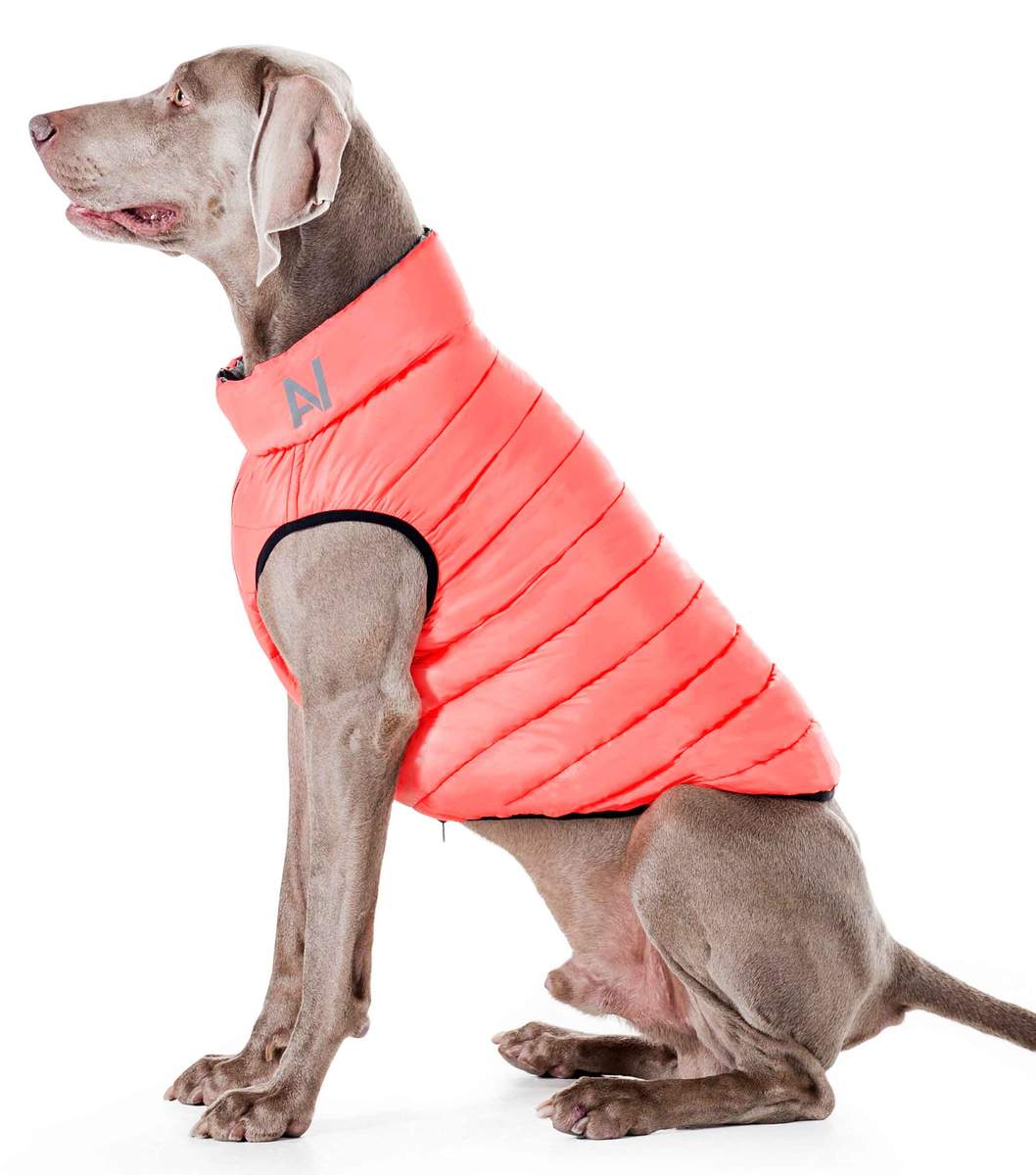 Reversible Airy Vest Jacket