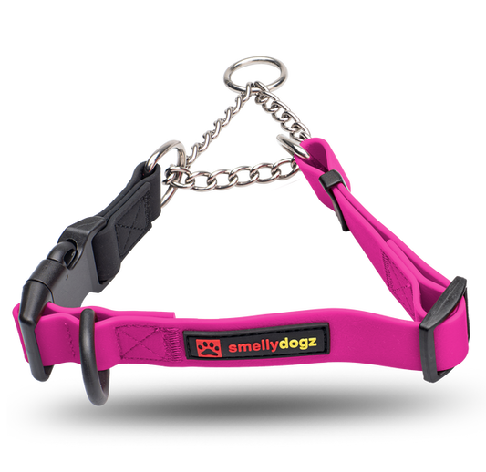 Smelly Dogz Martingale Collar