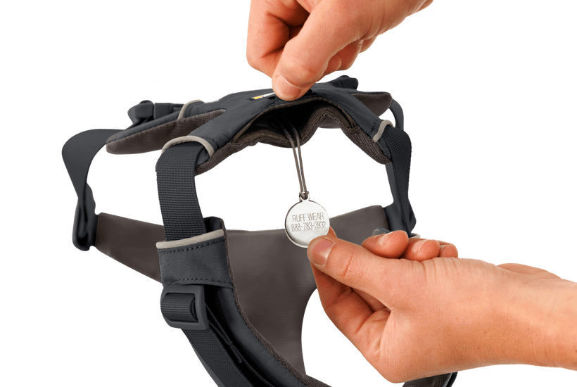 Ruffwear Front Range Dog Harness in Basalt Gray