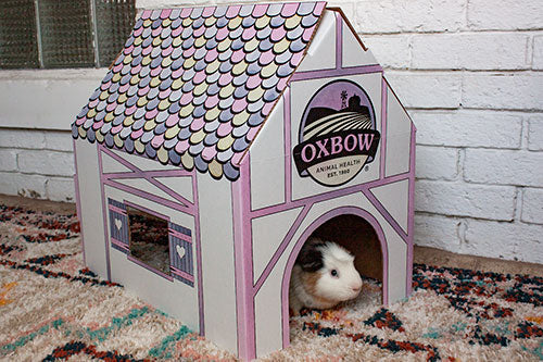 Oxbow Enriched Life Hideaway House