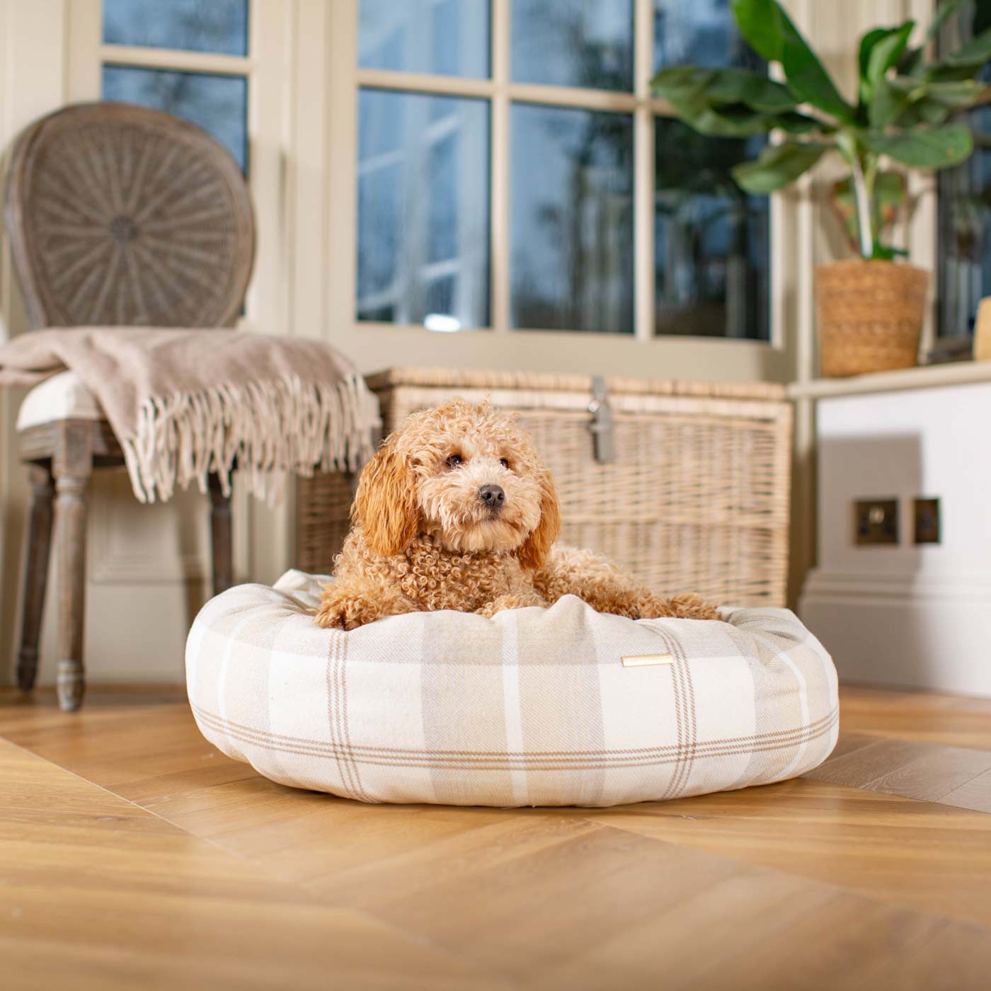 Discover Our Handmade Luxury Donut Dog Bed, In Natural Tweed, The Perfect Choice For Puppies Available Now at Lords & Labradors
