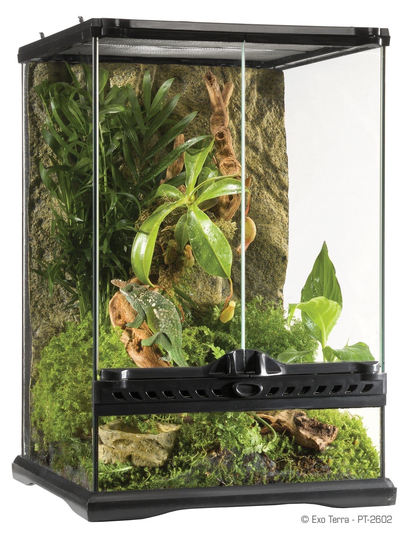 Exo Terra Terrarium Mini Wide Tall, 12" x 12" x 18"