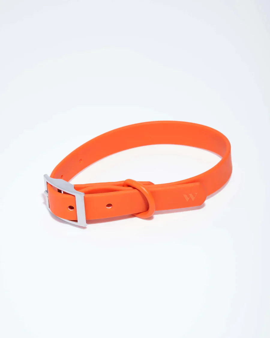 Wild One Collar - Blaze