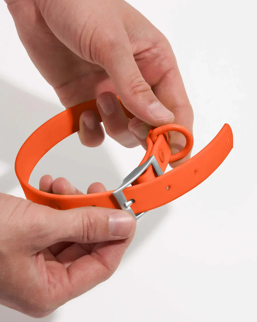 Wild One Collar - Blaze