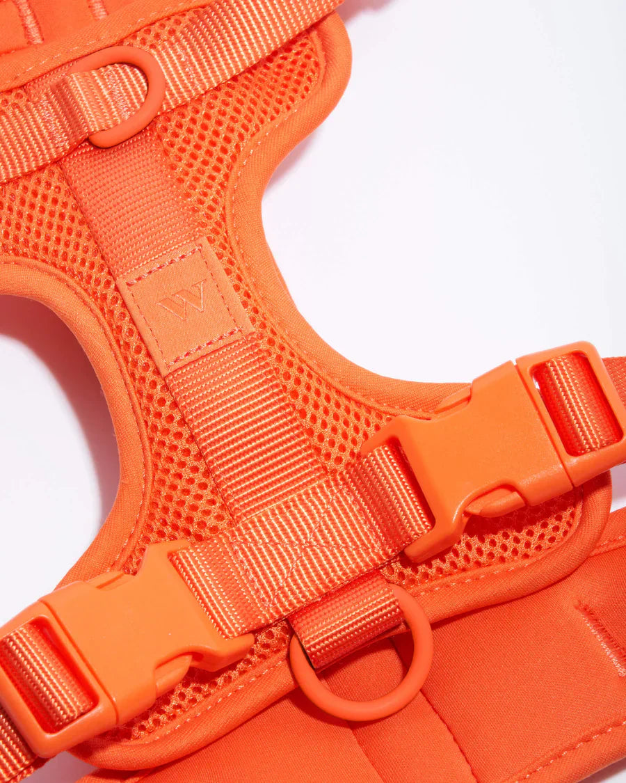 Wild One Comfort Harness - Blaze