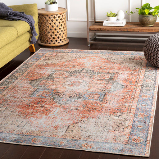 Amelie Rug - AML2309 - Red, Multi