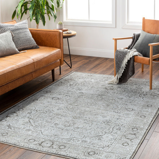 Amelie Rug - AML2368 - Charcoal/Gray
