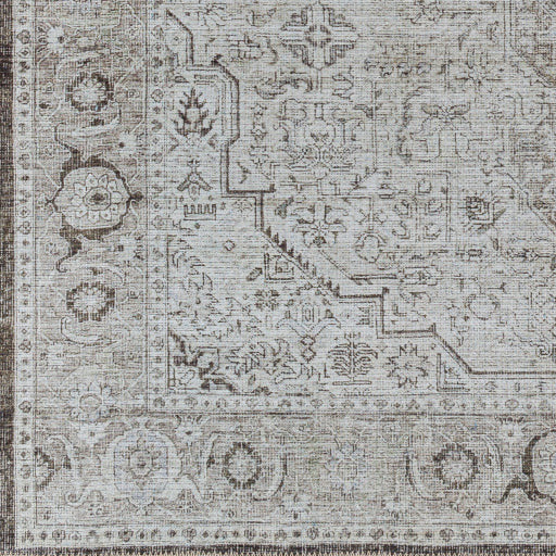 Amelie Rug - AML2368 - Charcoal/Gray