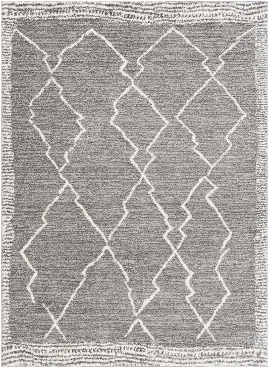 Andorra ARD-2309 2' x 3' Rug