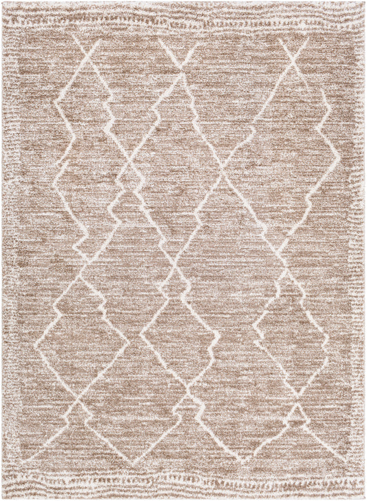Andorra ARD-2310 2' x 3' Rug