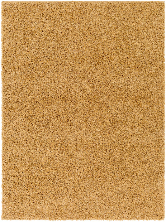 Bliss shag BLI-2304 2' x 3' Rug