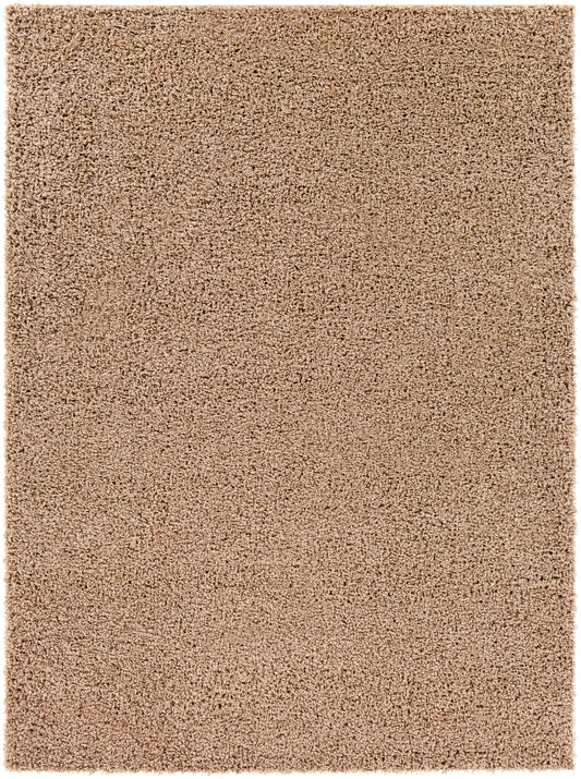 Bliss shag BLI-2305 2' x 3' Rug