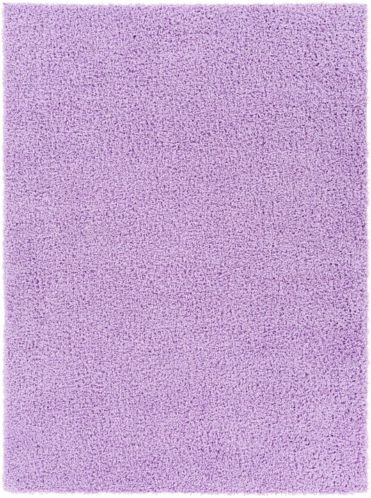 Bliss shag BLI-2307 2' x 3' Rug