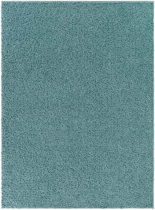 Bliss shag BLI-2310 2' x 3' Rug