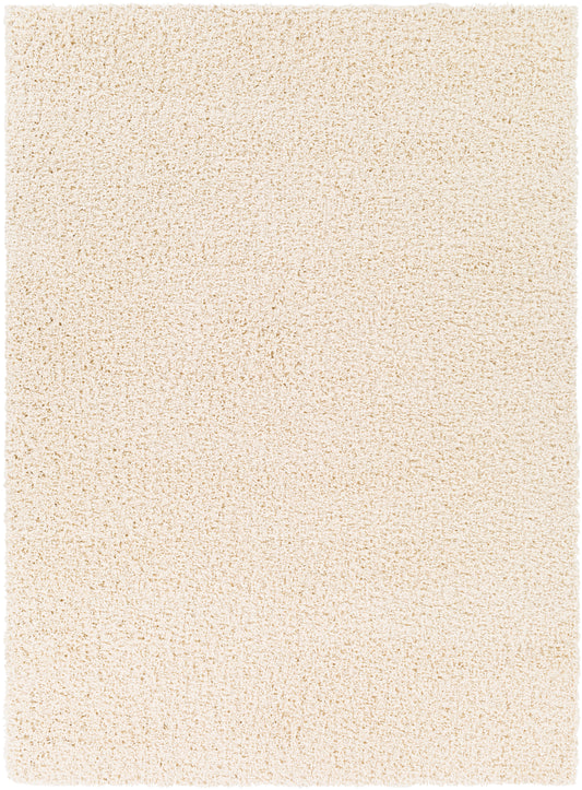 Bliss shag BLI-2315 2' x 3' Rug