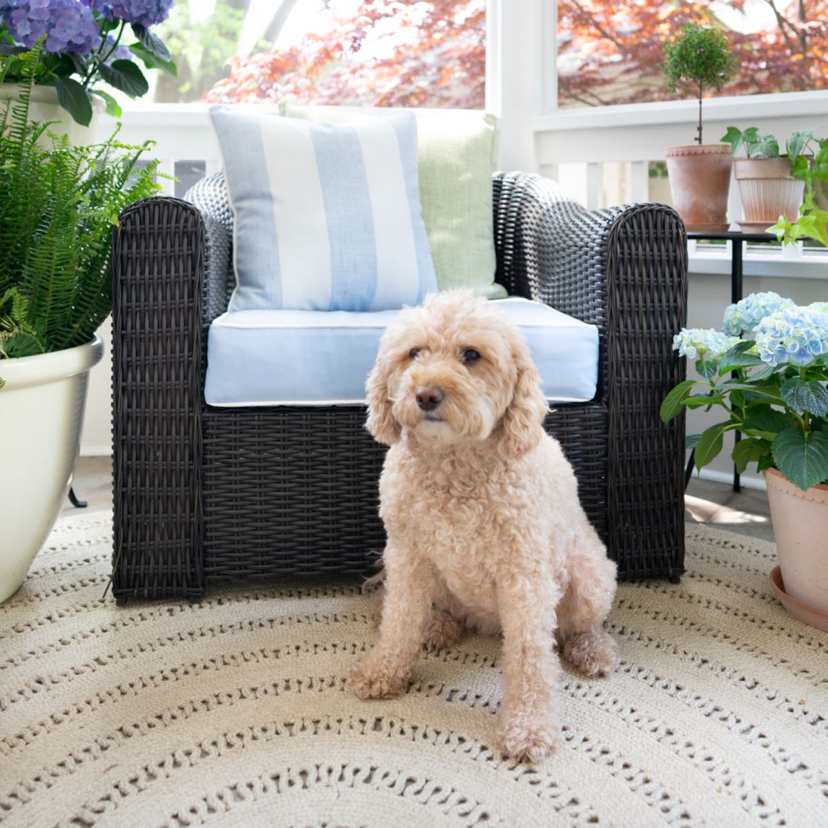 Bowline Natural Indoor/Outdoor Round Rug