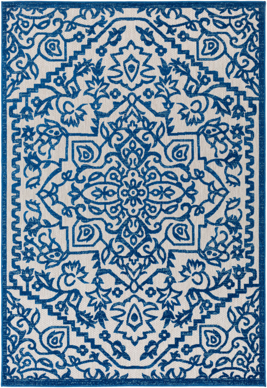 Big Sur BSR-2301 2' x 3' Rug