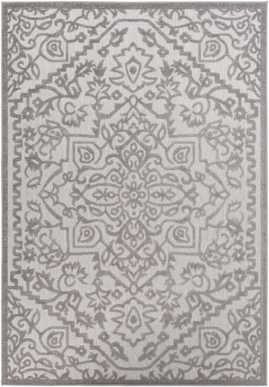 Big Sur BSR-2302 2' x 3' Rug