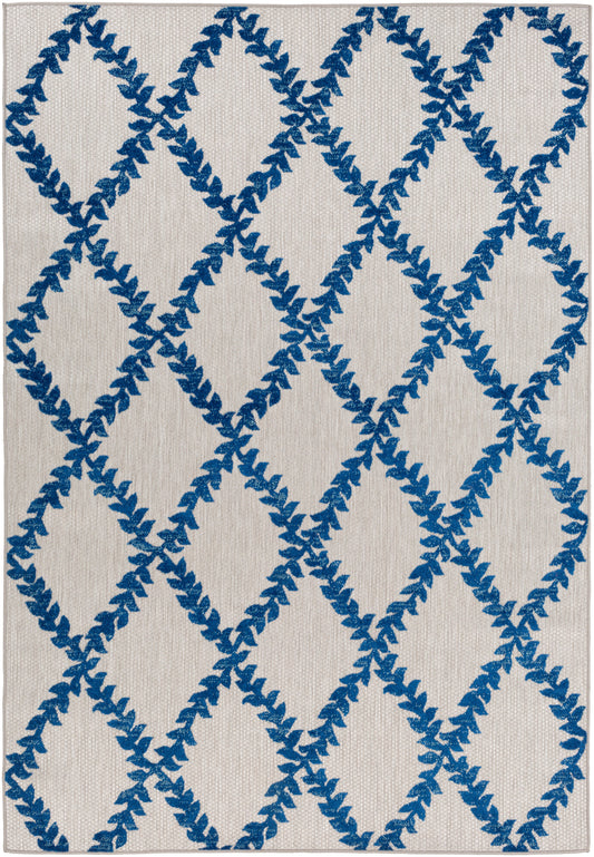 Big Sur BSR-2303 2' x 3' Rug