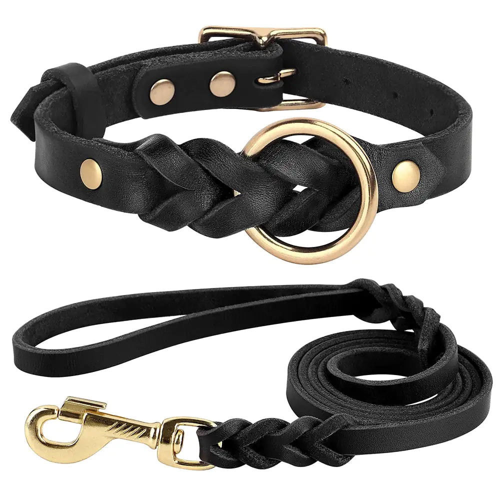 Dog Collar and Leash Set Black M