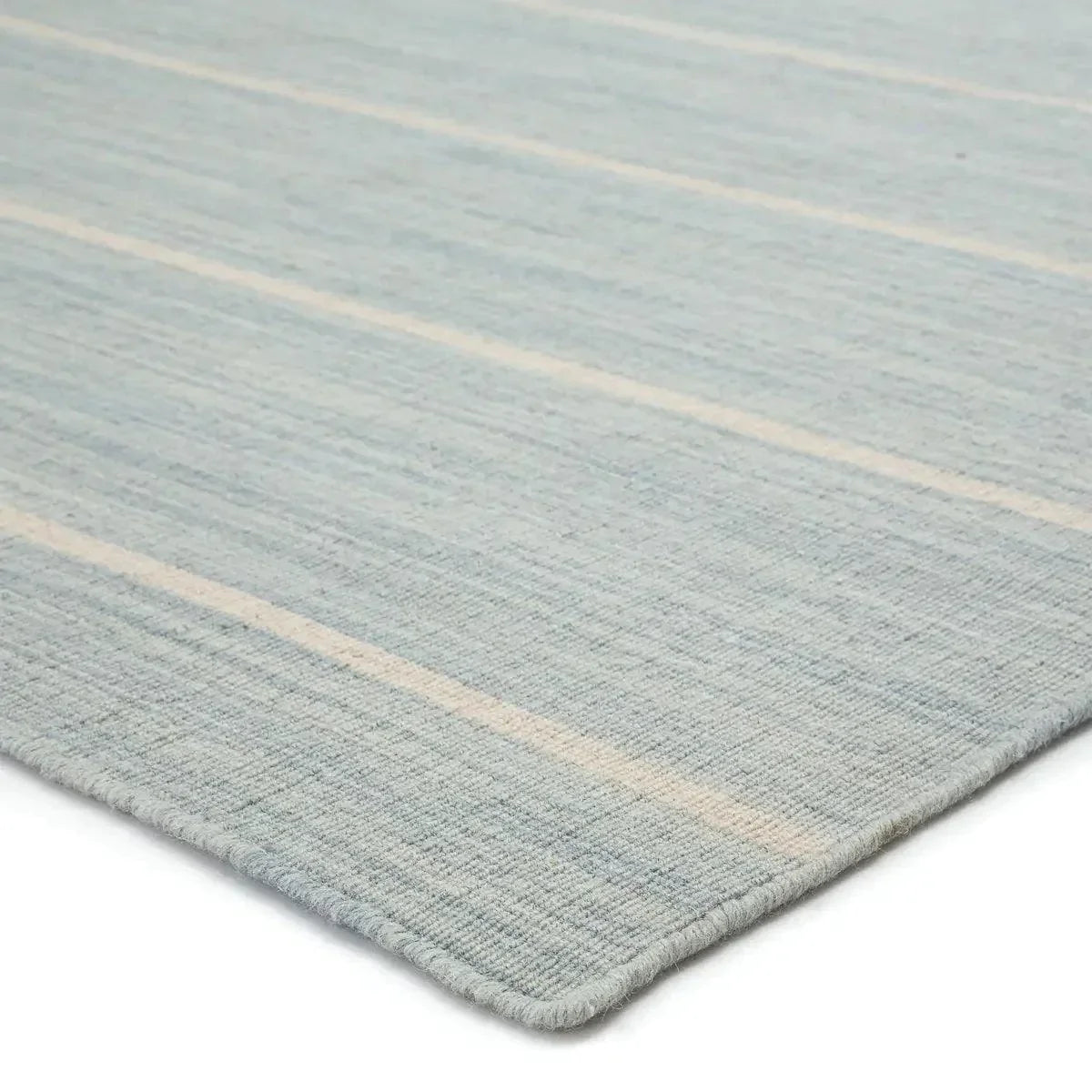 Coastal Shores Area Rug in Light Blue and White