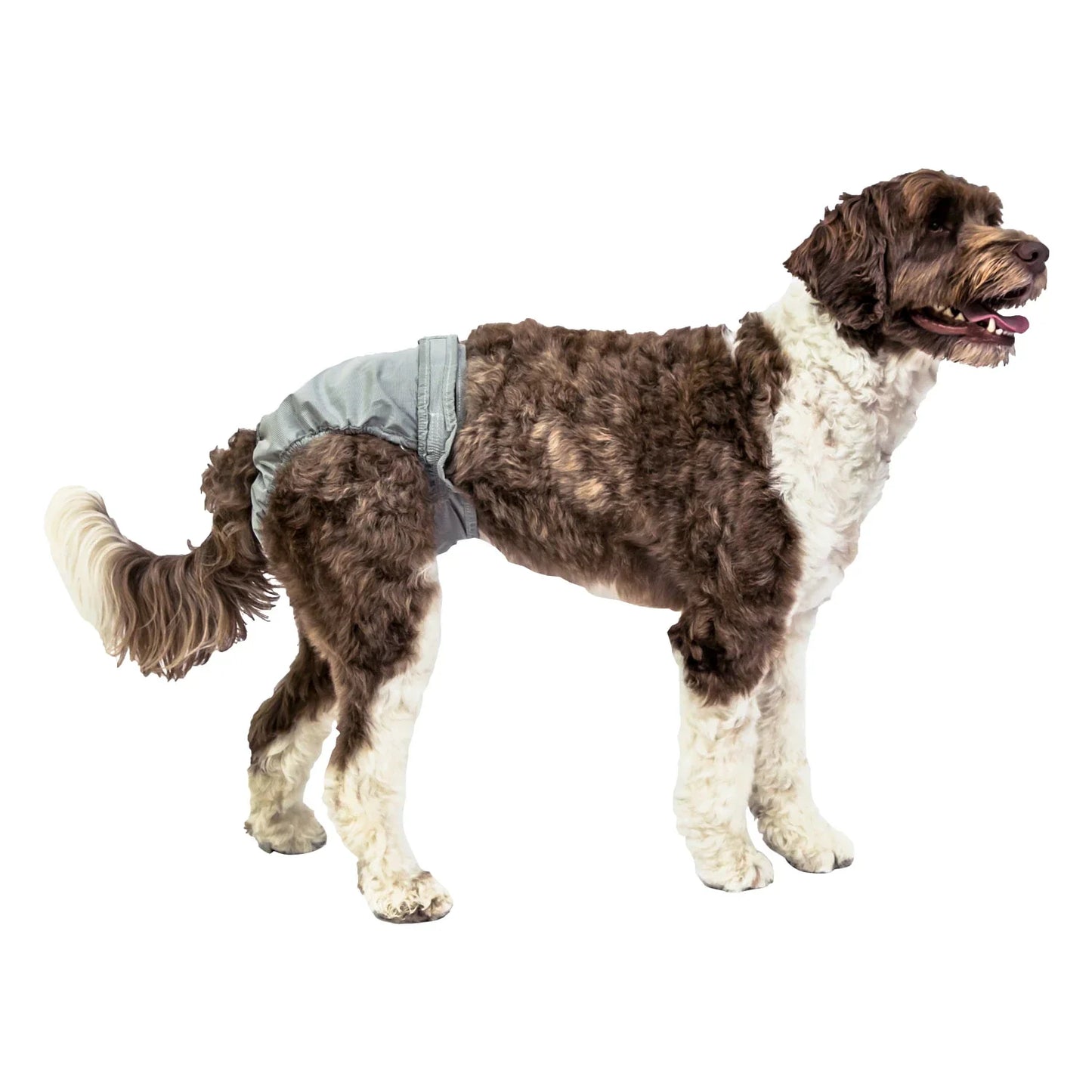 Pooch Pants Reusable Dog Diaper