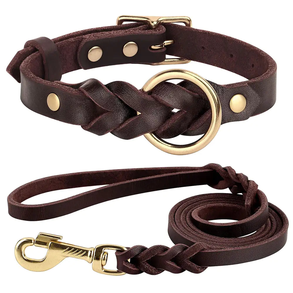 Dog Collar and Leash Set Brown M