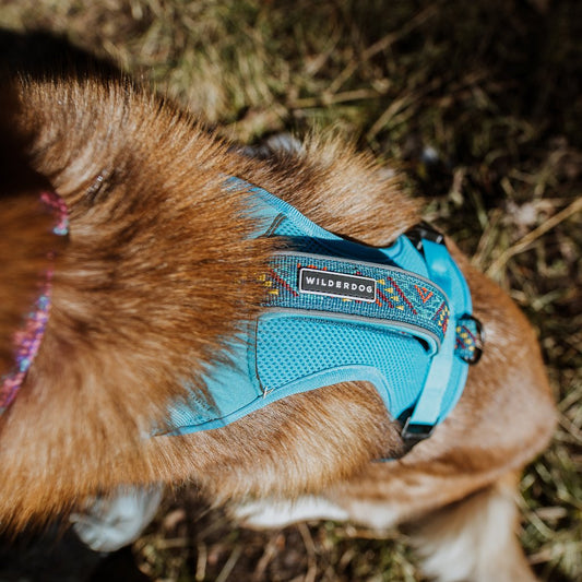 Wilderdog Harness