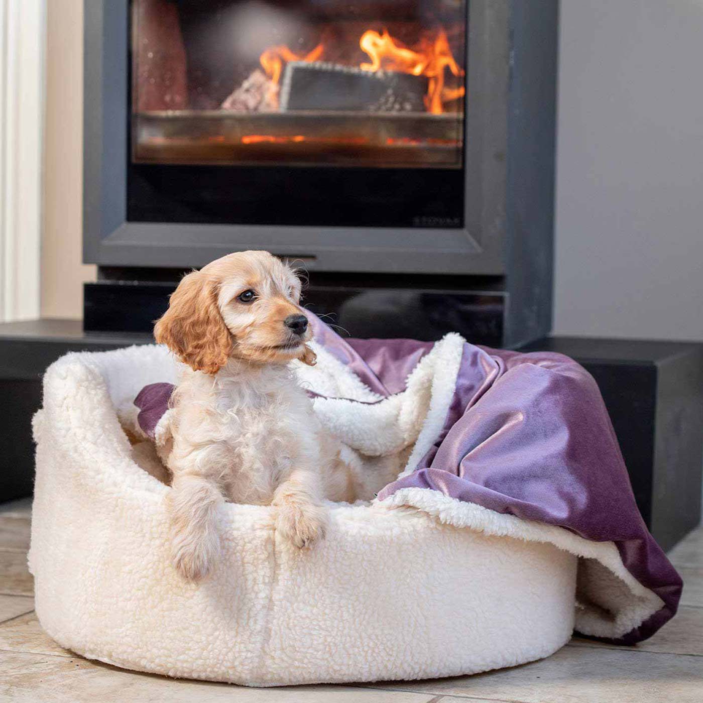 [color:blush velvet]