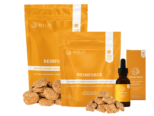Reinforce Supplements