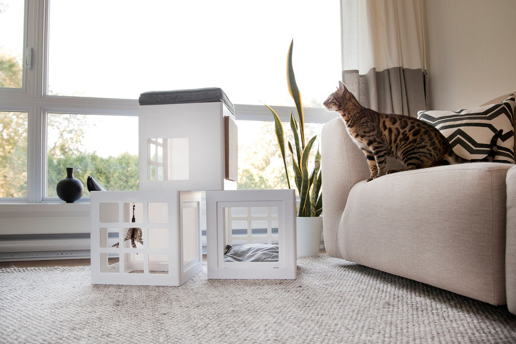 Be One Breed - Katt3 Cat Condo